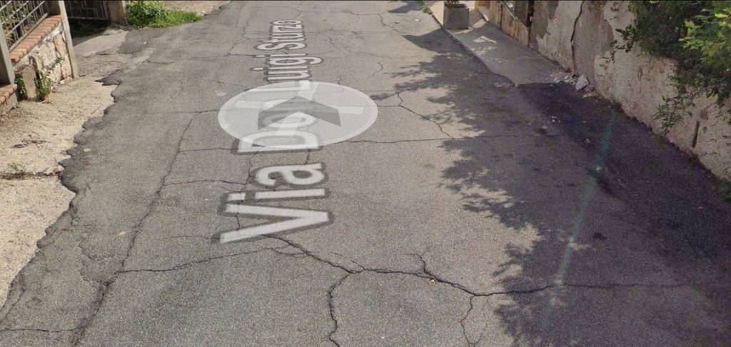 immagine annuncio 9 di 12