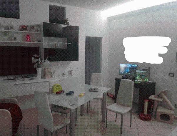 immagine annuncio 11 di 14