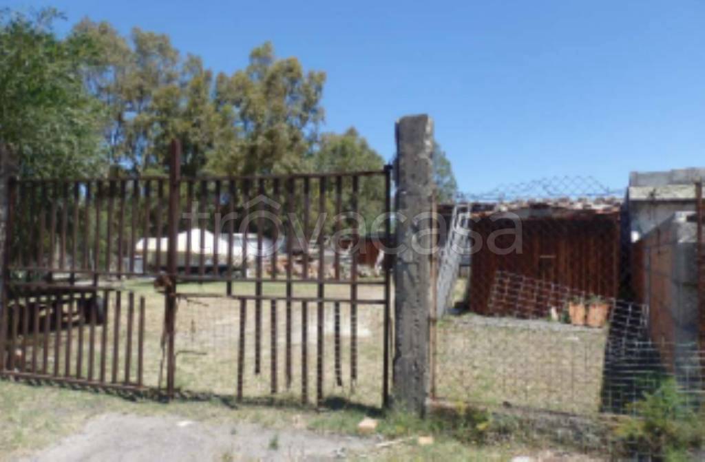 immagine annuncio 5 di 11