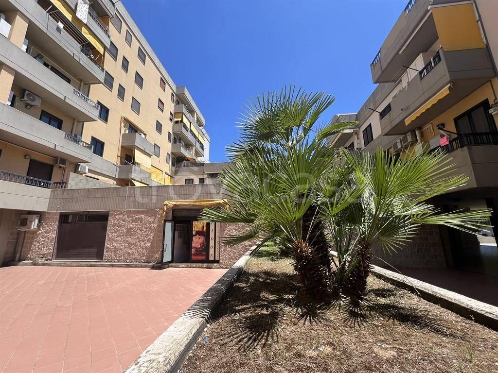 immagine annuncio 8 di 12