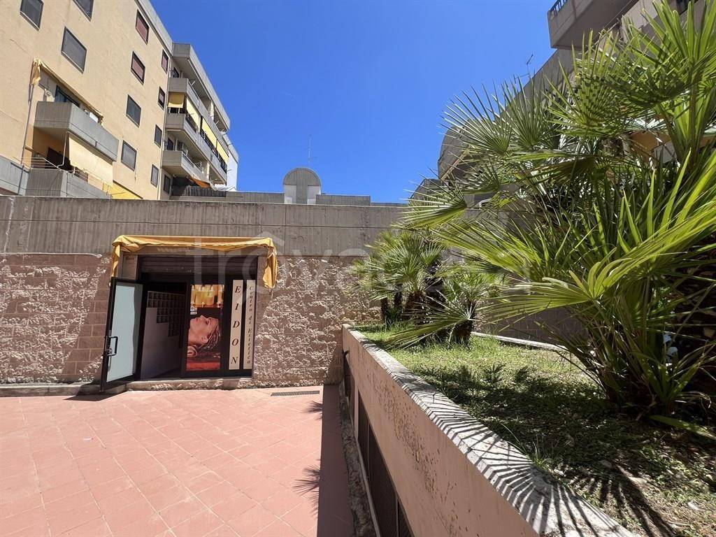 immagine annuncio 9 di 12