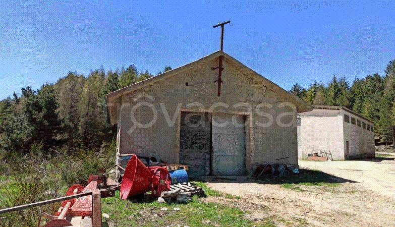 immagine annuncio 8 di 12