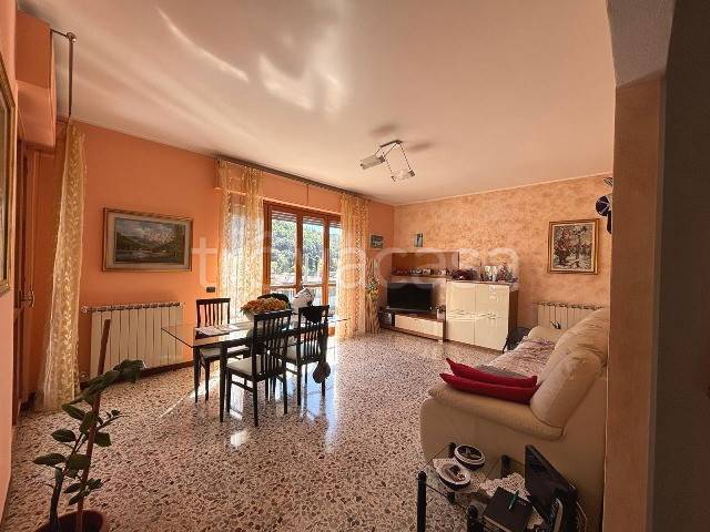 immagine annuncio 1 di 9