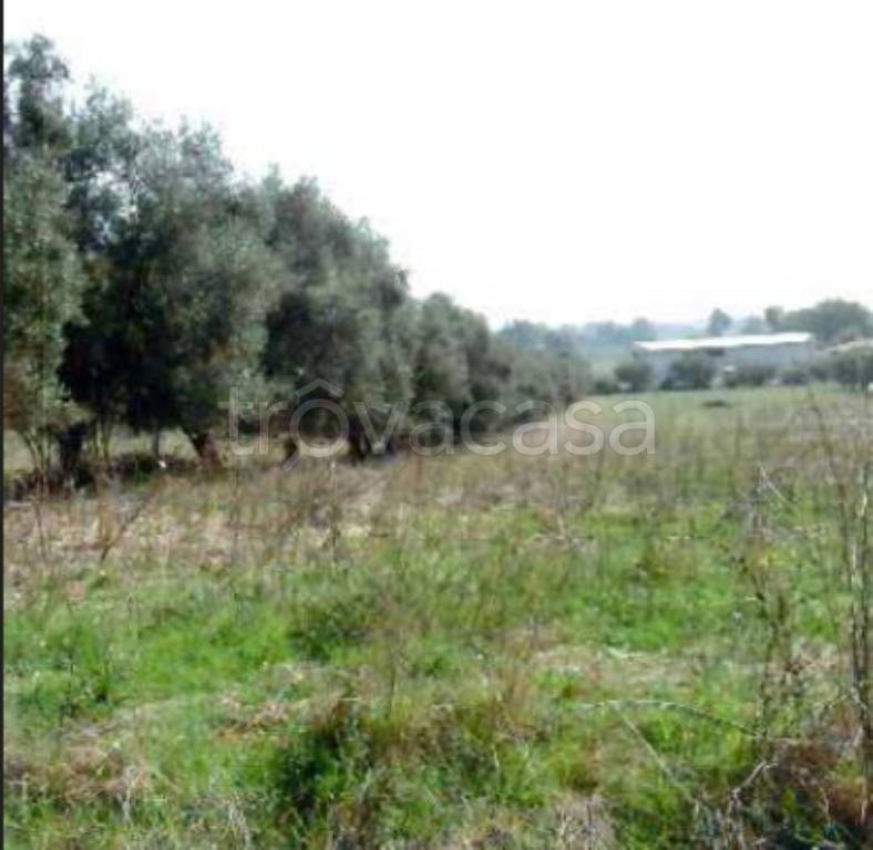 immagine annuncio 8 di 11