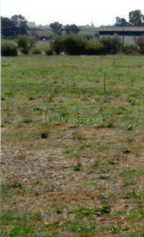 immagine annuncio 7 di 11