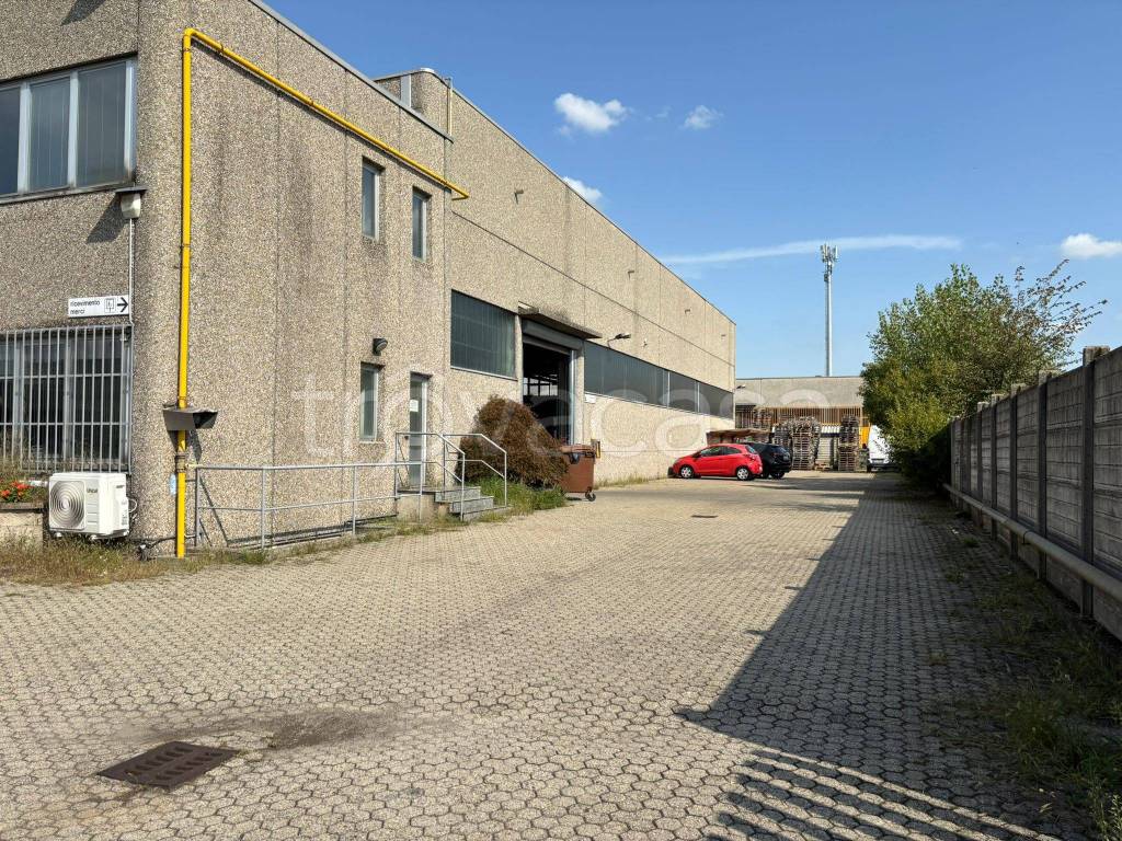 immagine annuncio 3 di 15