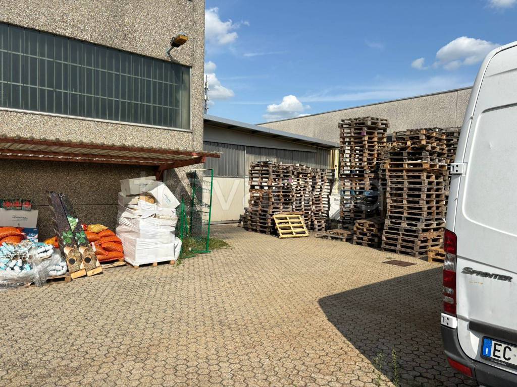 immagine annuncio 5 di 15