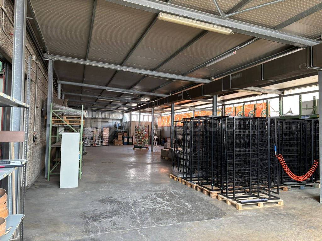 immagine annuncio 13 di 15