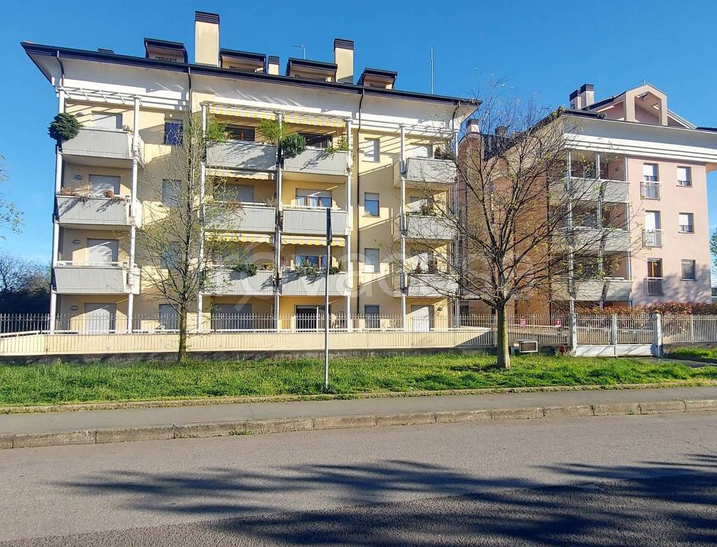 immagine annuncio 9 di 10