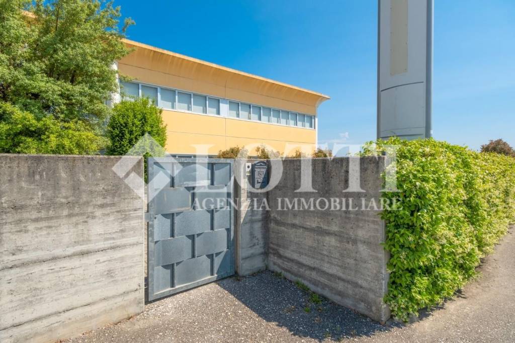 immagine annuncio 4 di 15