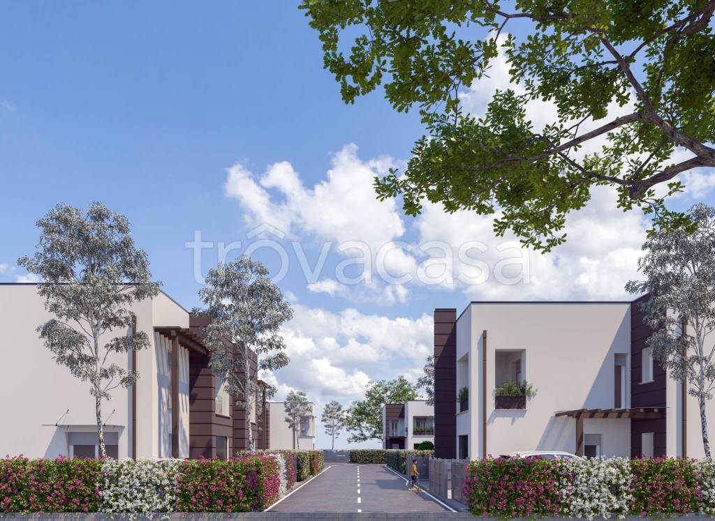 immagine annuncio 10 di 14