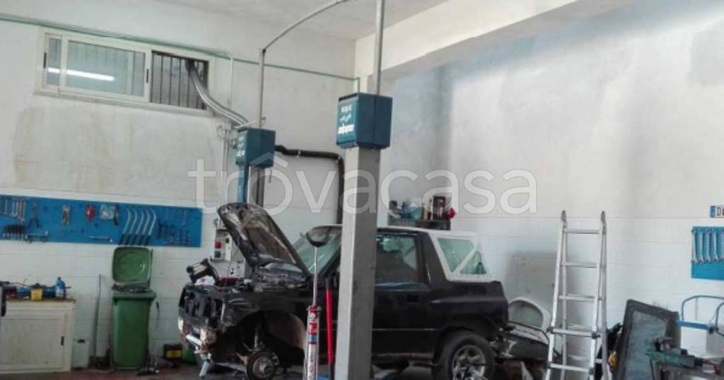 immagine annuncio 3 di 11