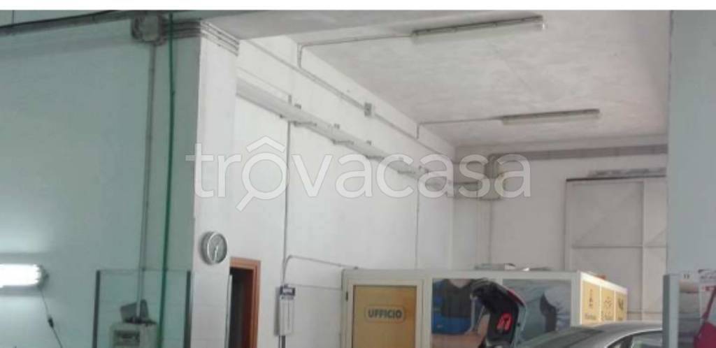 immagine annuncio 4 di 11