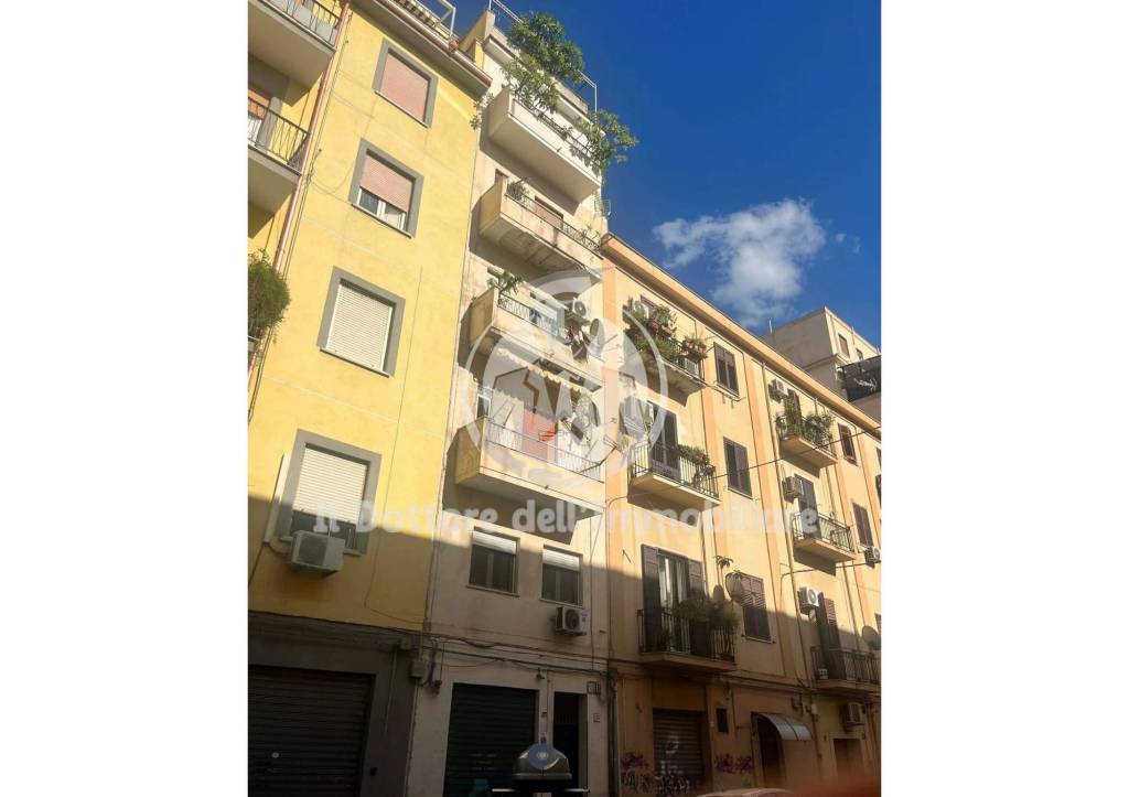 immagine annuncio 2 di 11