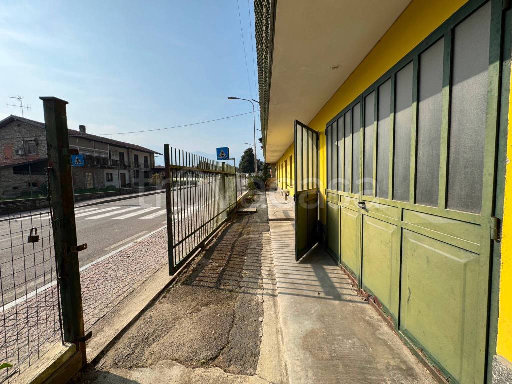 immagine annuncio 13 di 15