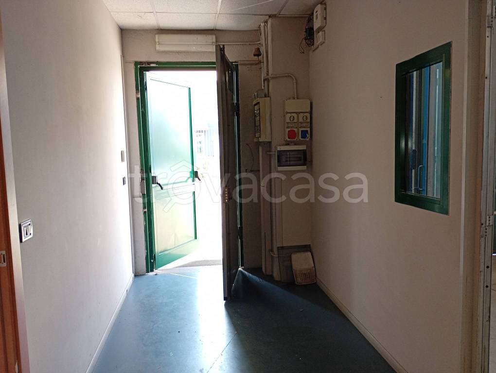 immagine annuncio 7 di 9