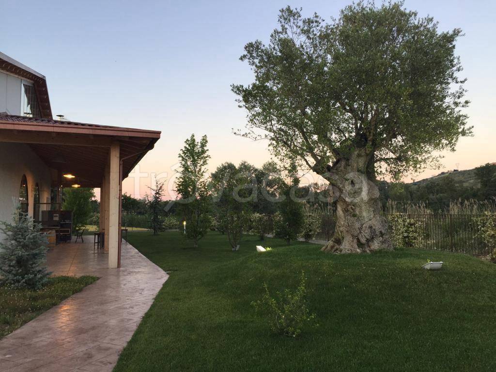 immagine annuncio 1 di 14