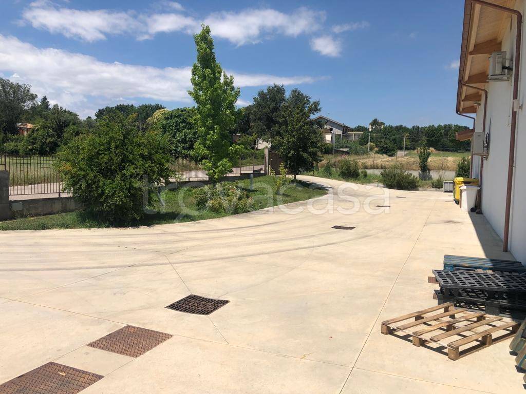 immagine annuncio 2 di 14