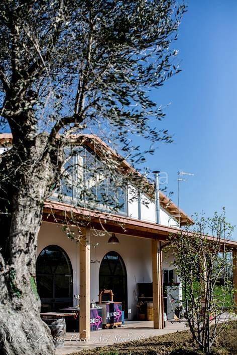 immagine annuncio 3 di 14