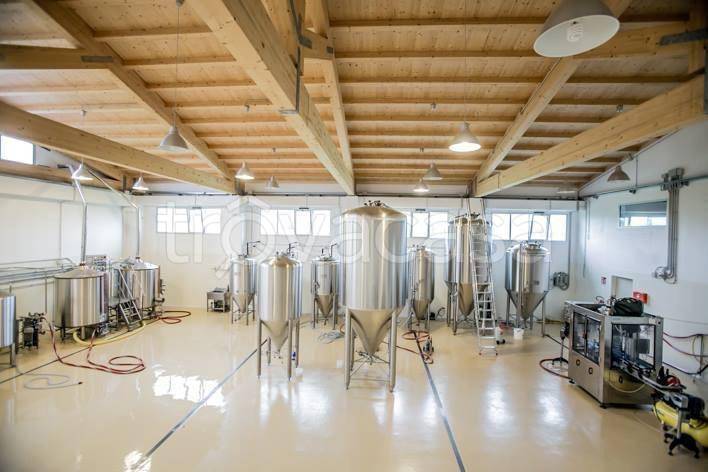 immagine annuncio 10 di 14