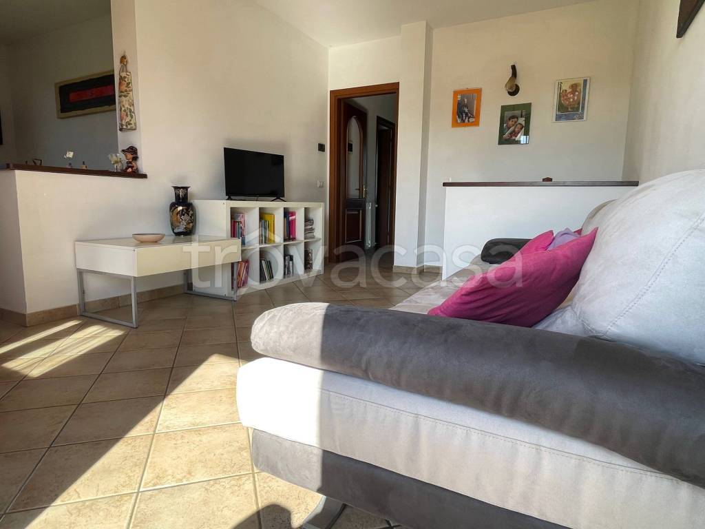 immagine annuncio 10 di 15