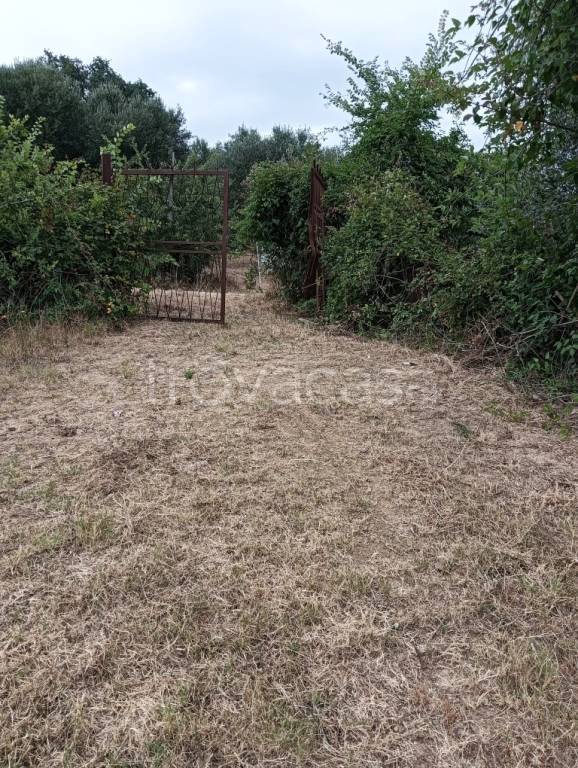 immagine annuncio 7 di 10