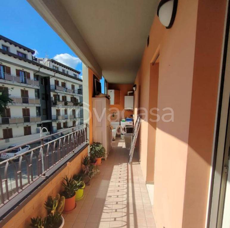 immagine annuncio 6 di 11