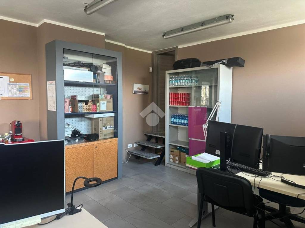 immagine annuncio 9 di 15