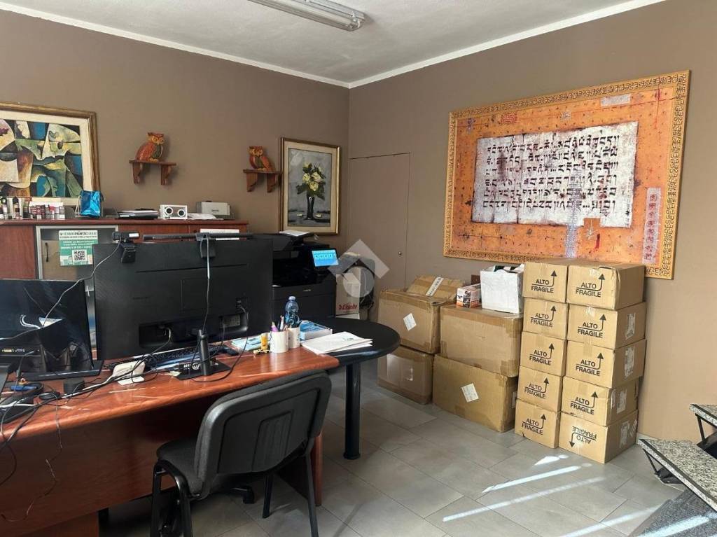 immagine annuncio 12 di 15