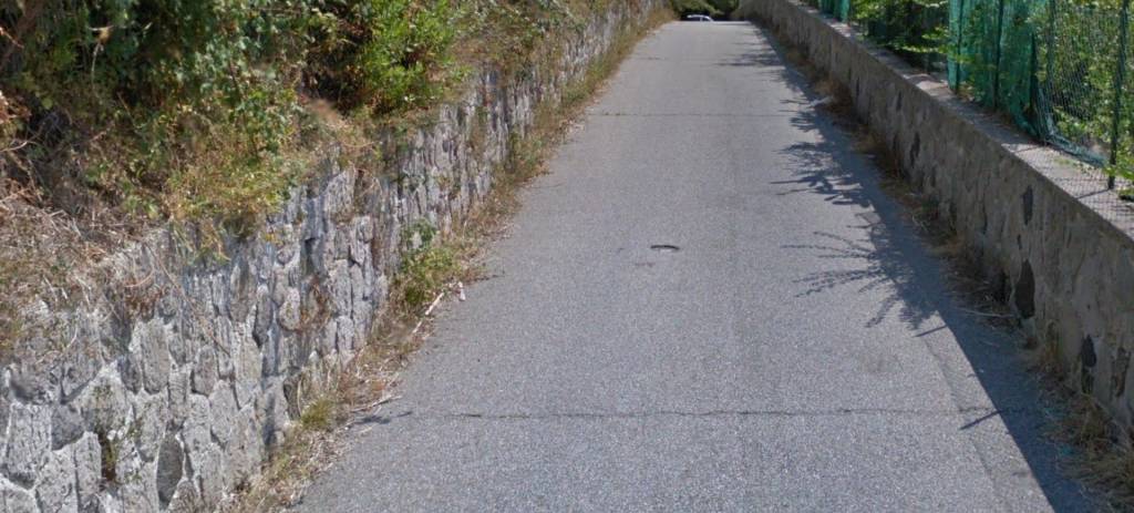 immagine annuncio 9 di 12