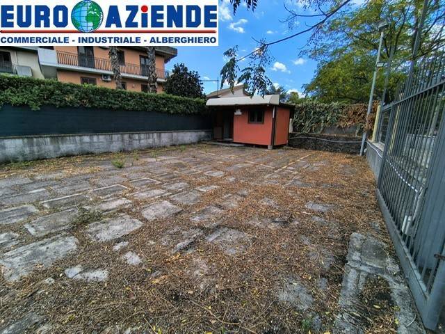 immagine annuncio 2 di 12