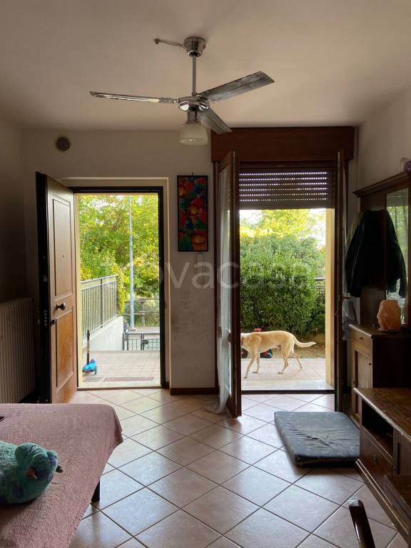 immagine annuncio 3 di 7