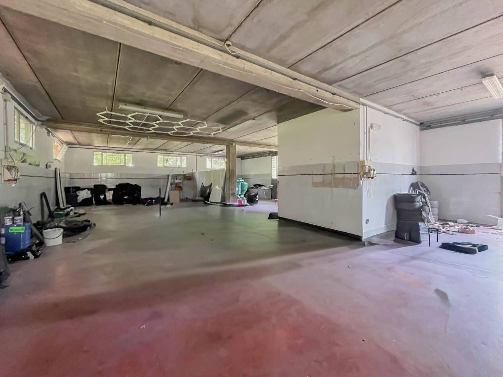 immagine annuncio 11 di 14