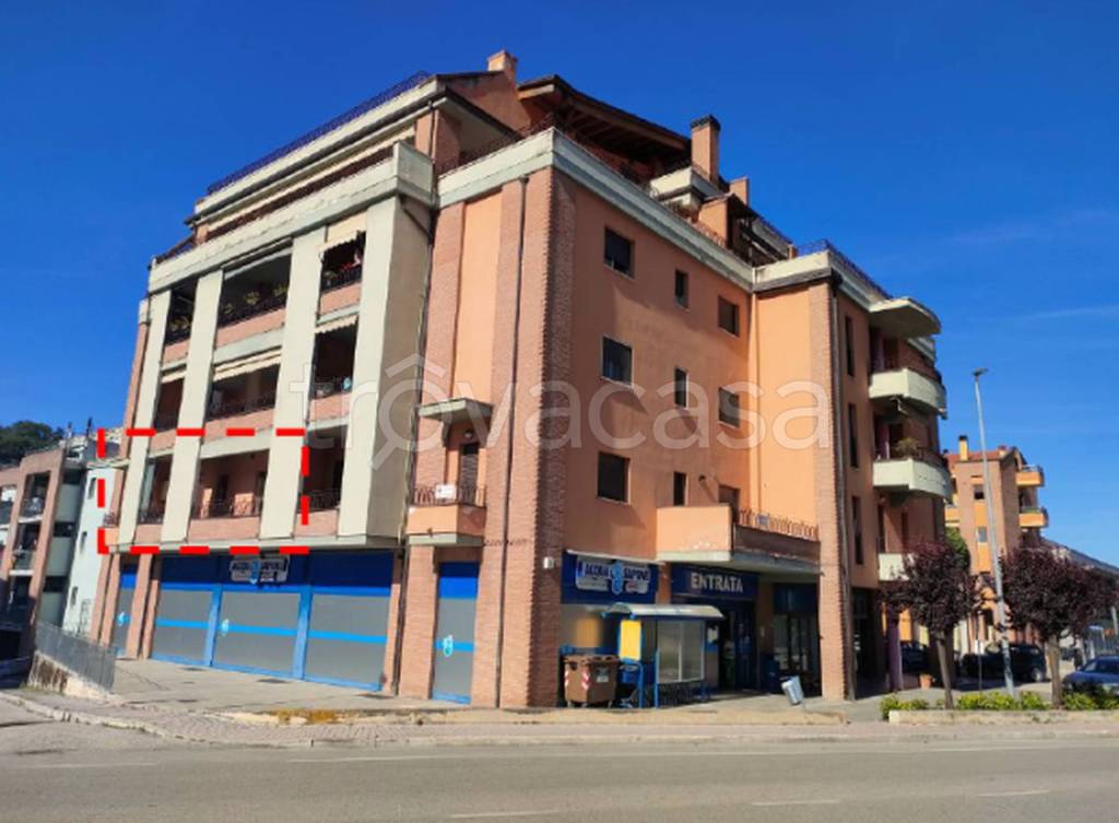 immagine annuncio 4 di 11