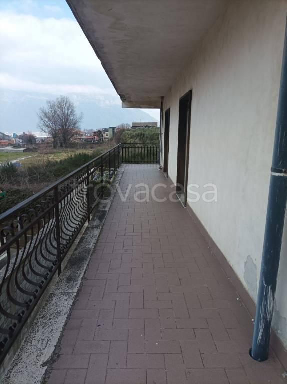 immagine annuncio 9 di 14