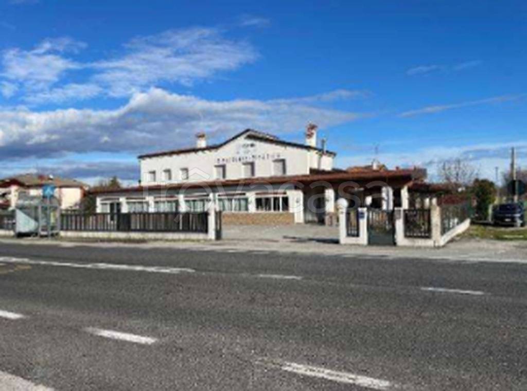 immagine annuncio 12 di 13