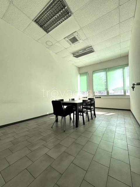 immagine annuncio 9 di 13