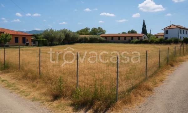 immagine annuncio 1 di 7