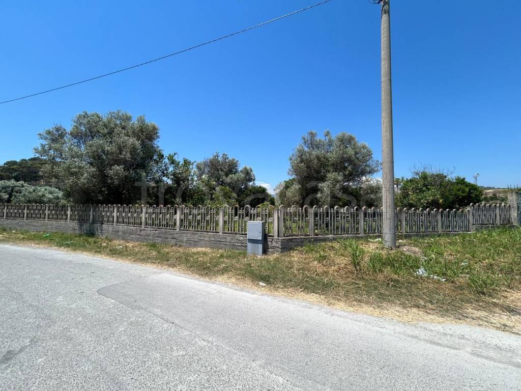 immagine annuncio 5 di 7