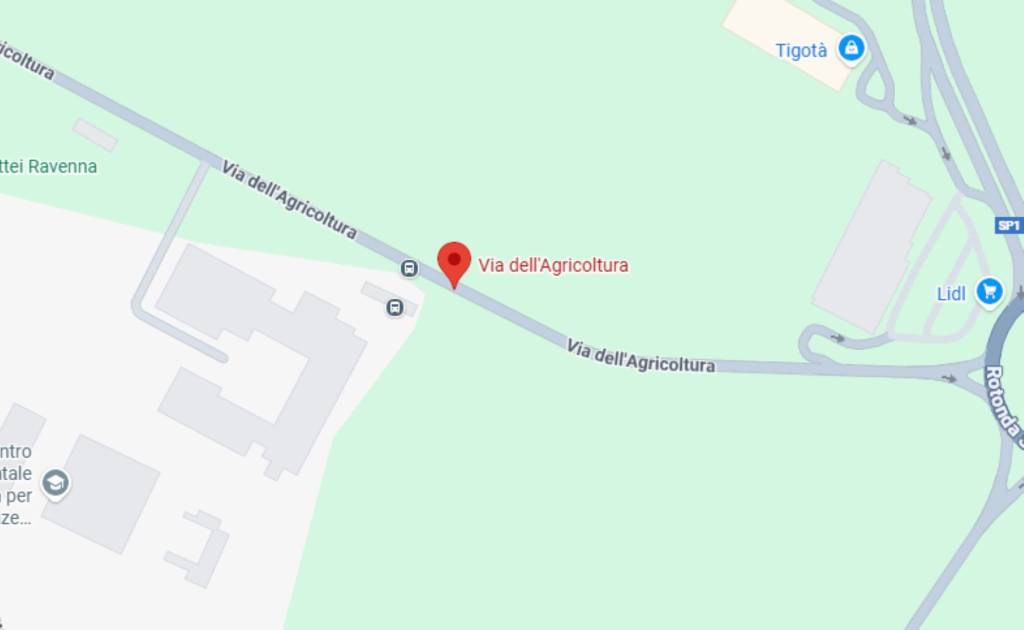 immagine annuncio 8 di 11