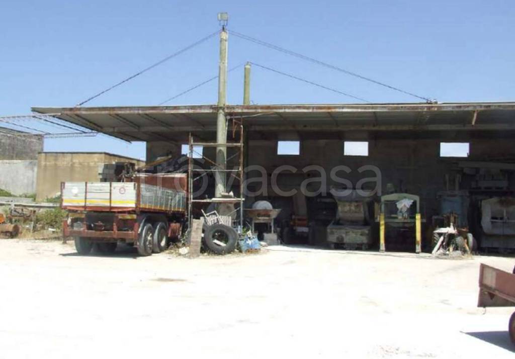 immagine annuncio 10 di 13