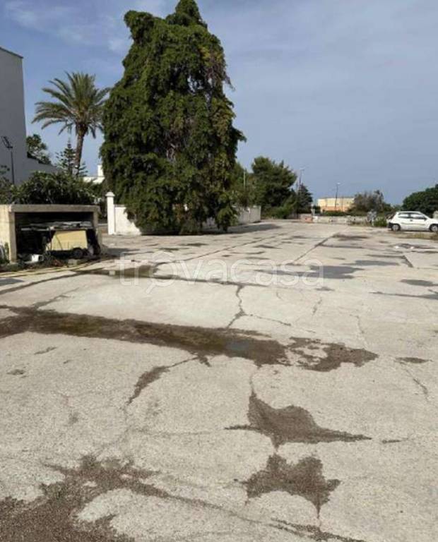 immagine annuncio 11 di 13