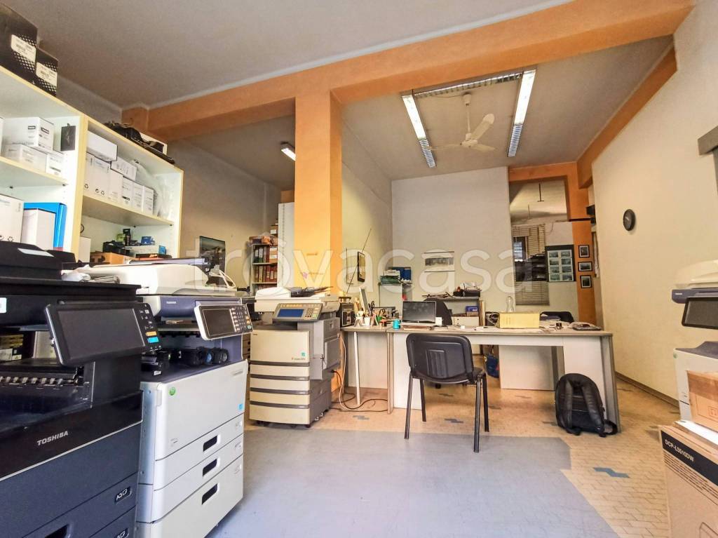 immagine annuncio 3 di 13