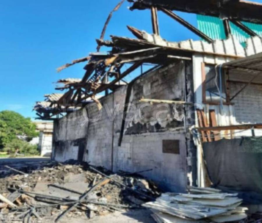 immagine annuncio 5 di 13