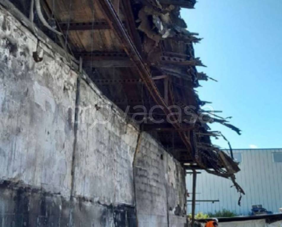 immagine annuncio 6 di 13