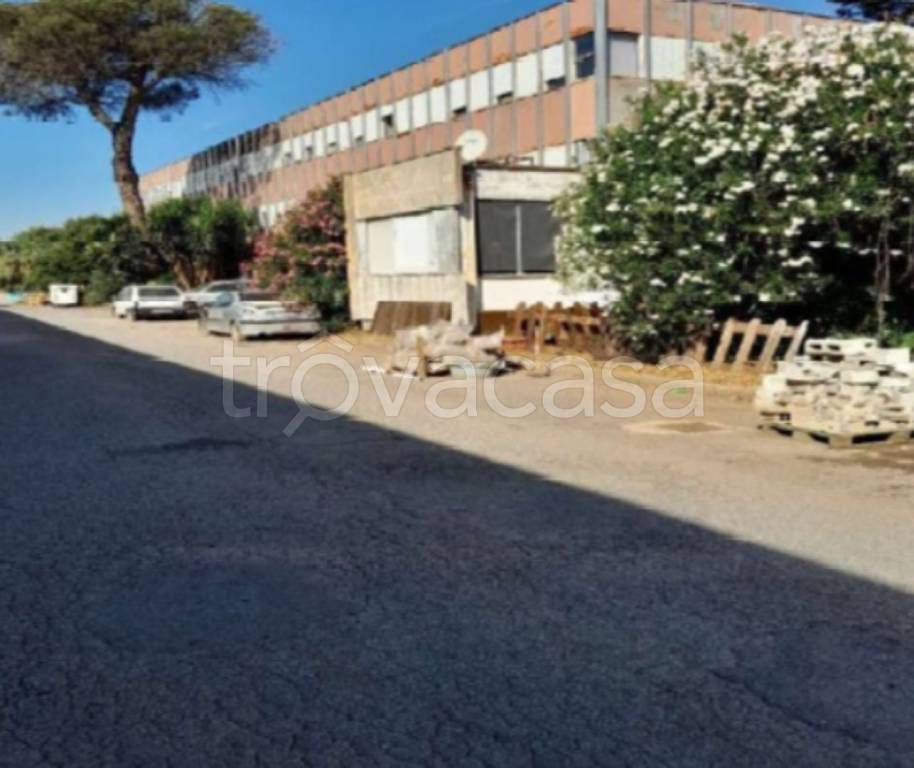 immagine annuncio 8 di 13