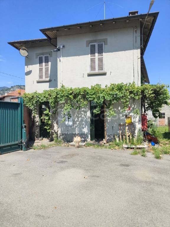 immagine annuncio 3 di 14