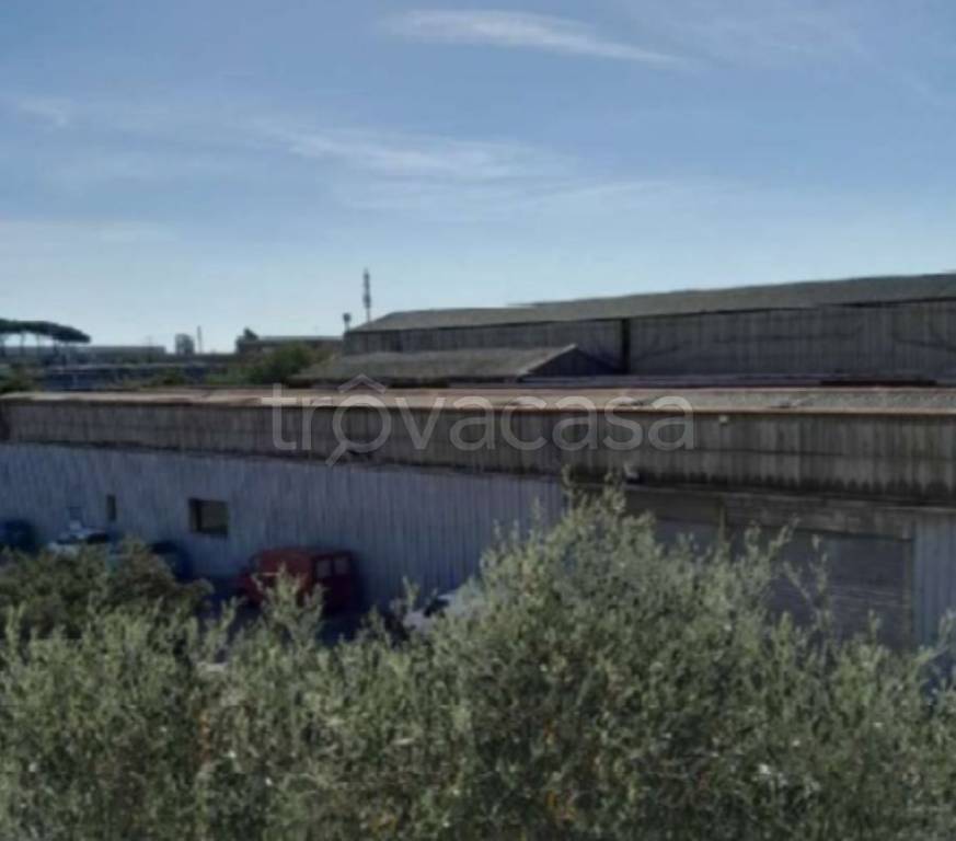 immagine annuncio 2 di 13