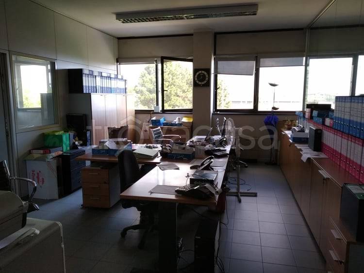 immagine annuncio 4 di 14