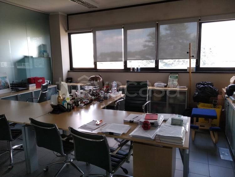 immagine annuncio 5 di 14